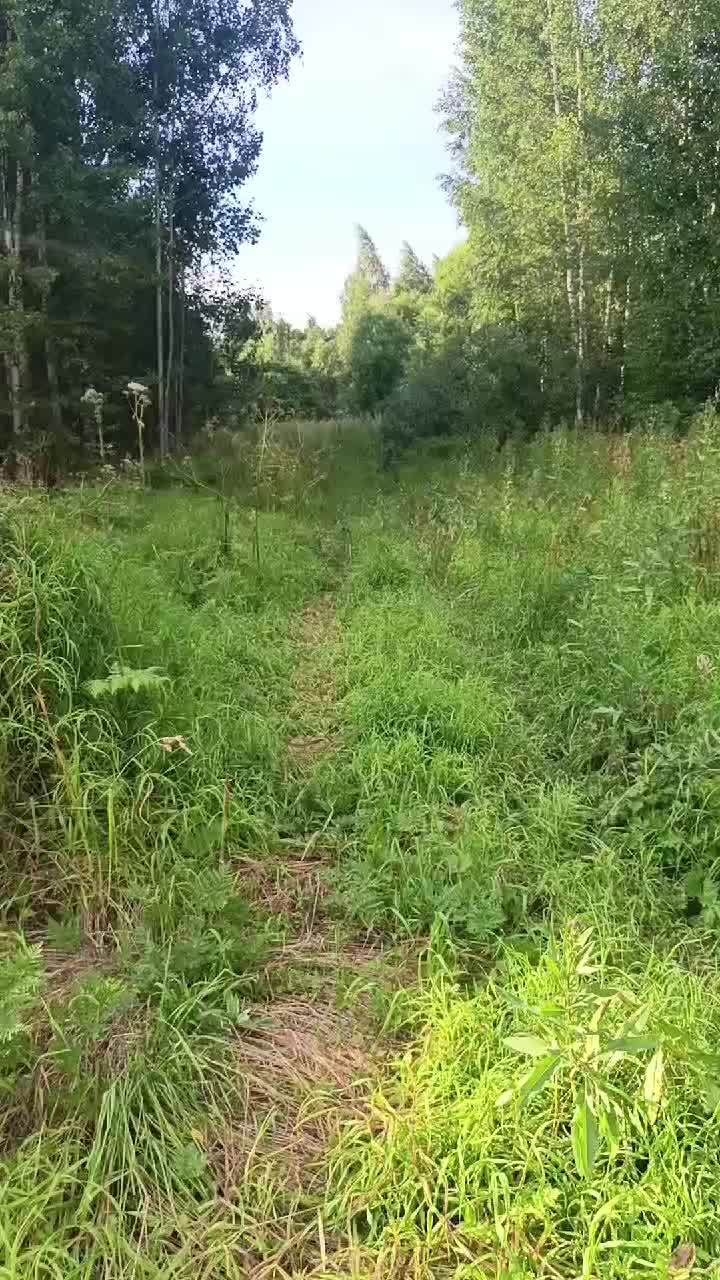 @мучачо