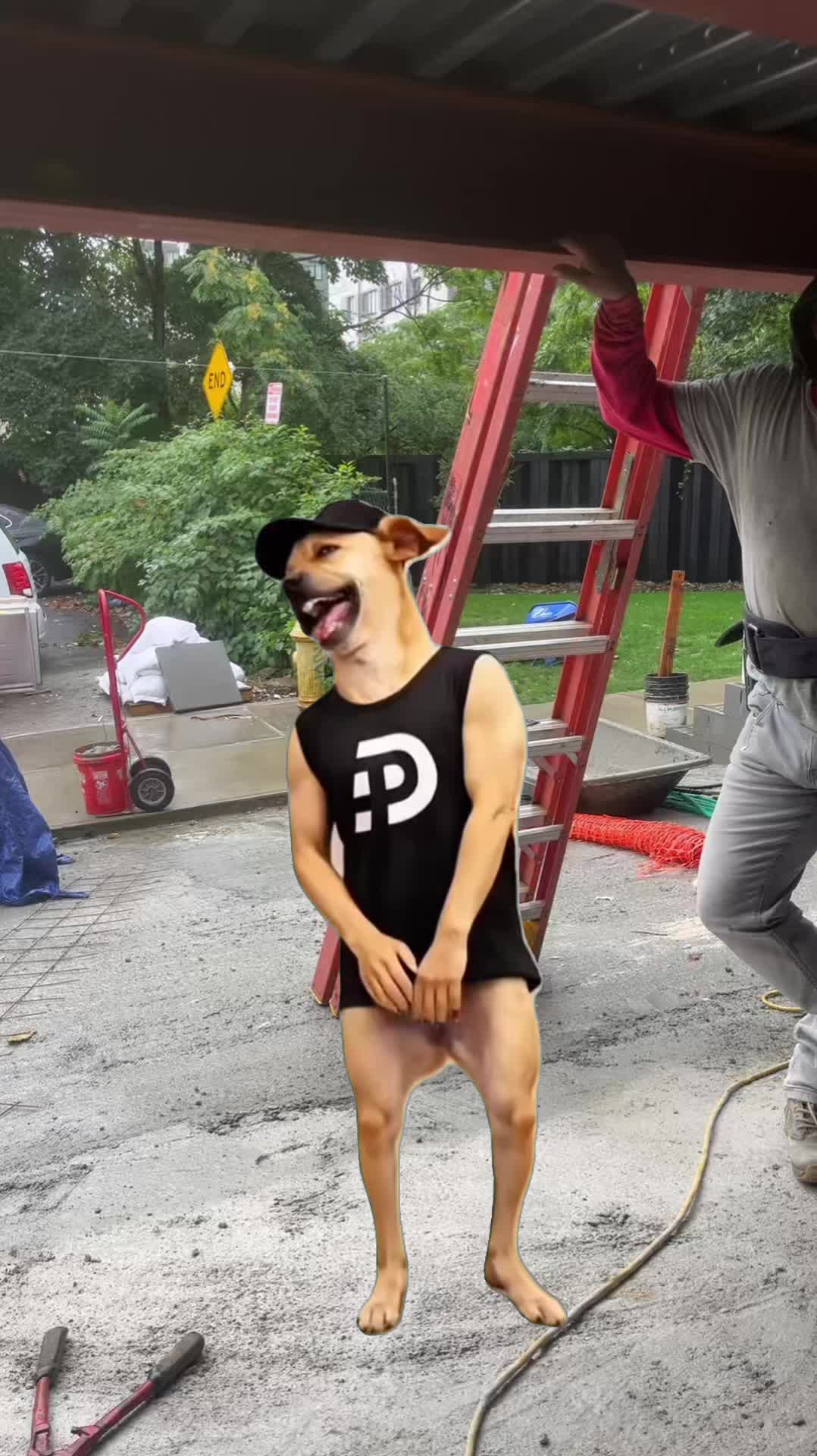 @central87