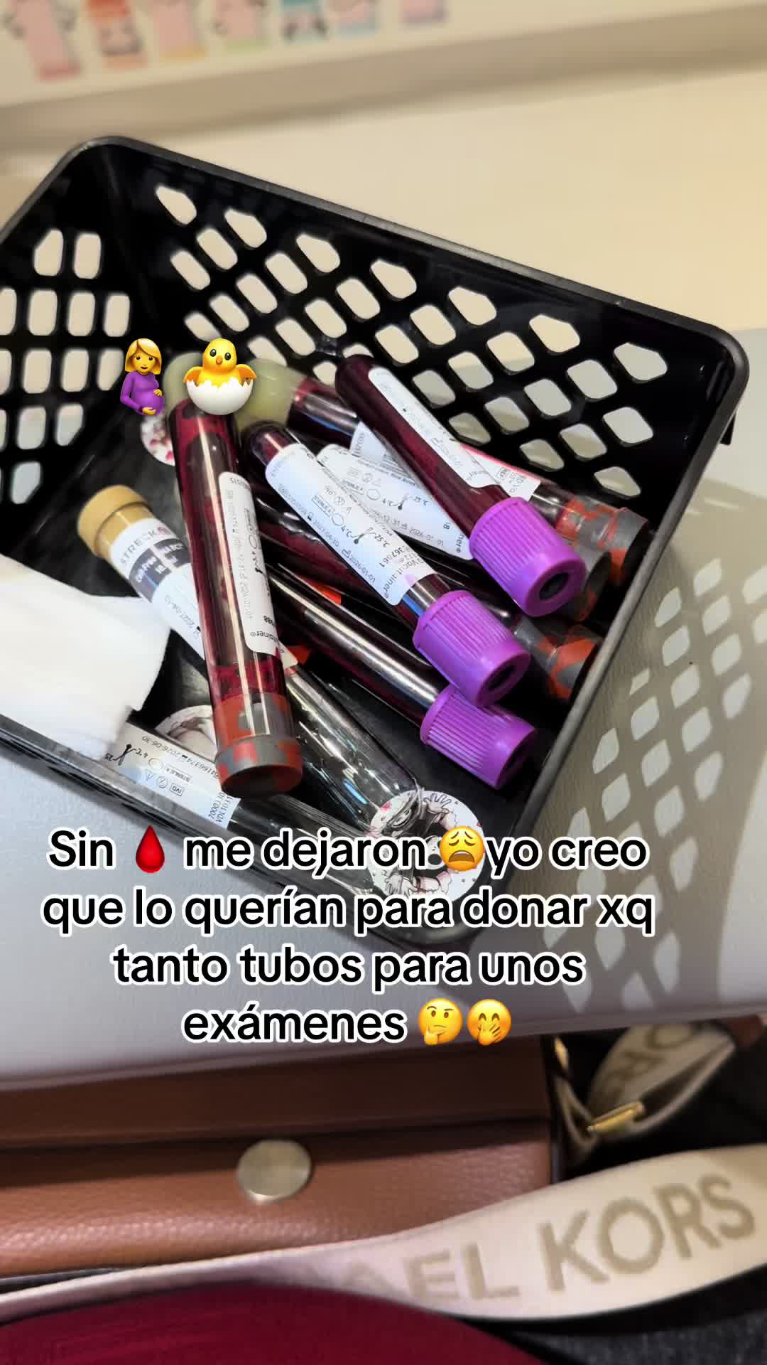 @marisolreyes1118