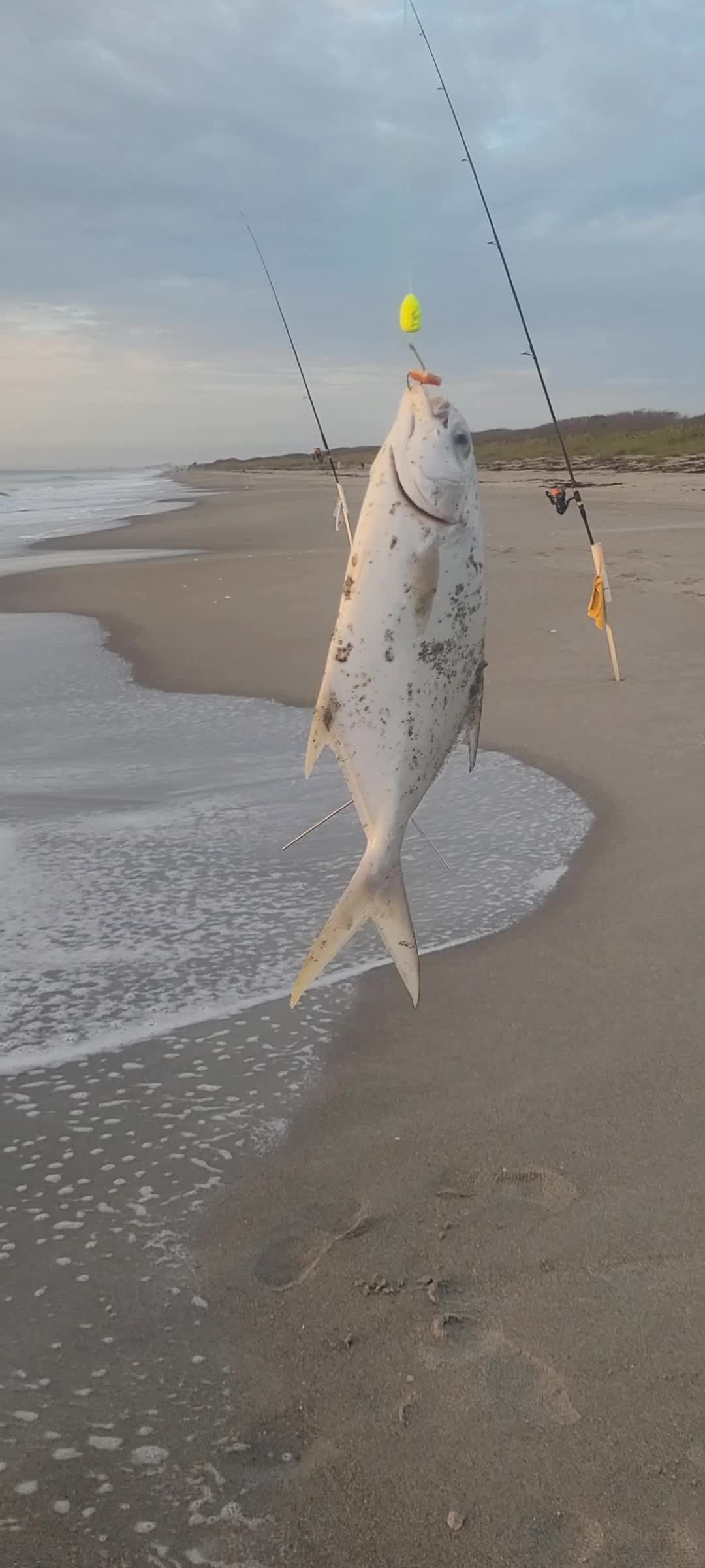 @Ghost of Space Coast Fishing