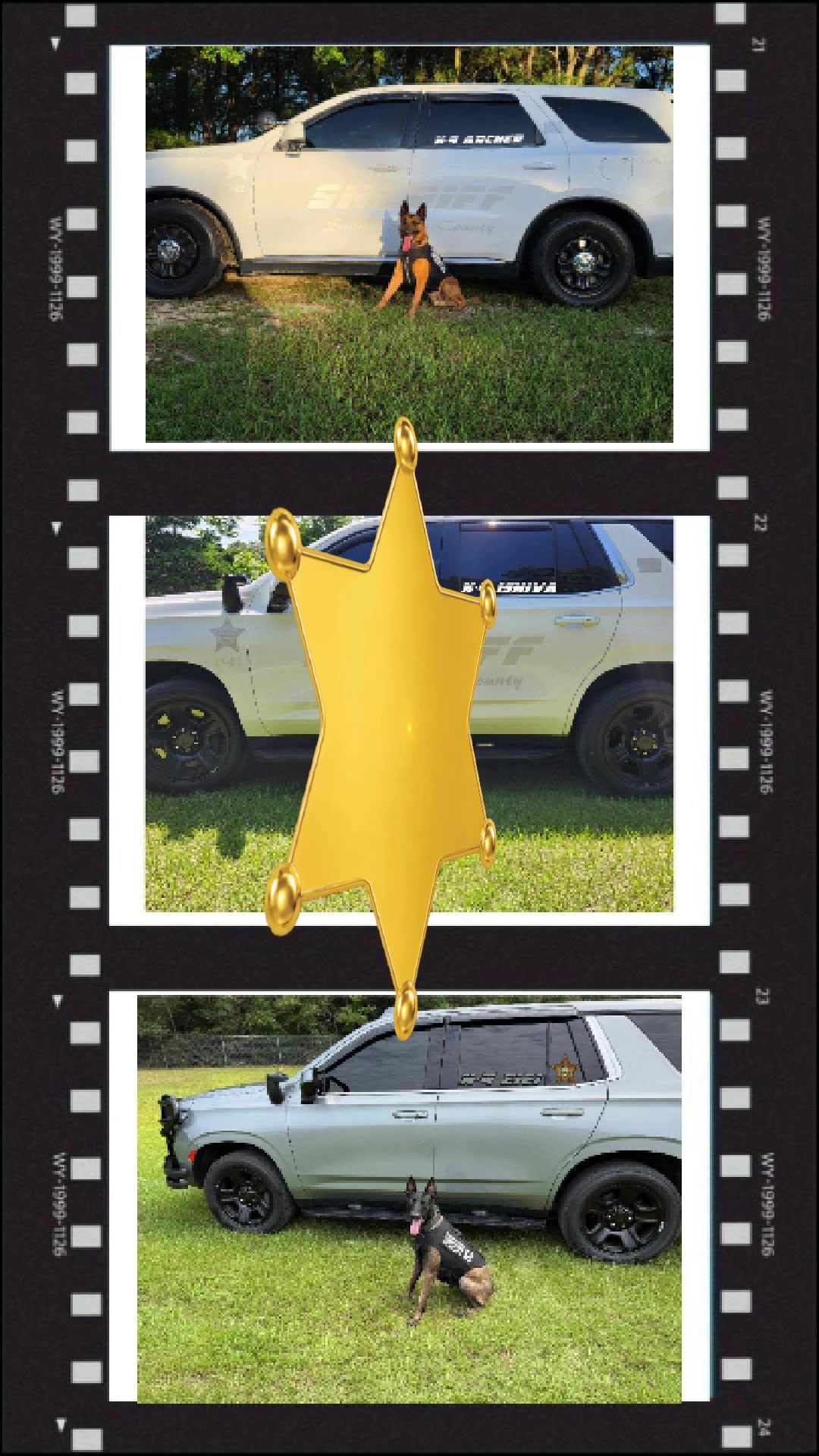 @Vested Interest in K9s, Inc.