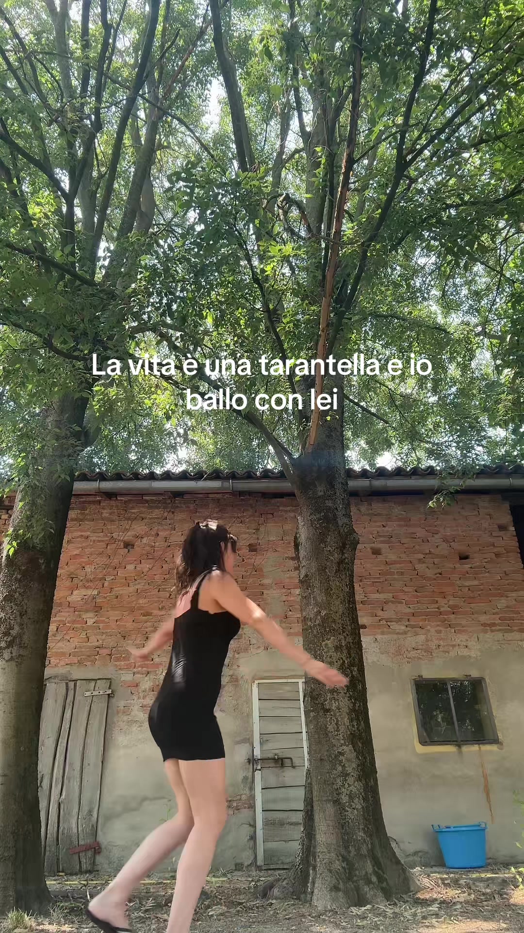 @Bitu