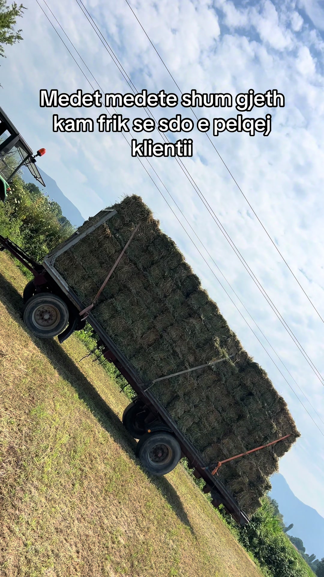 @AgroTradeAlbania