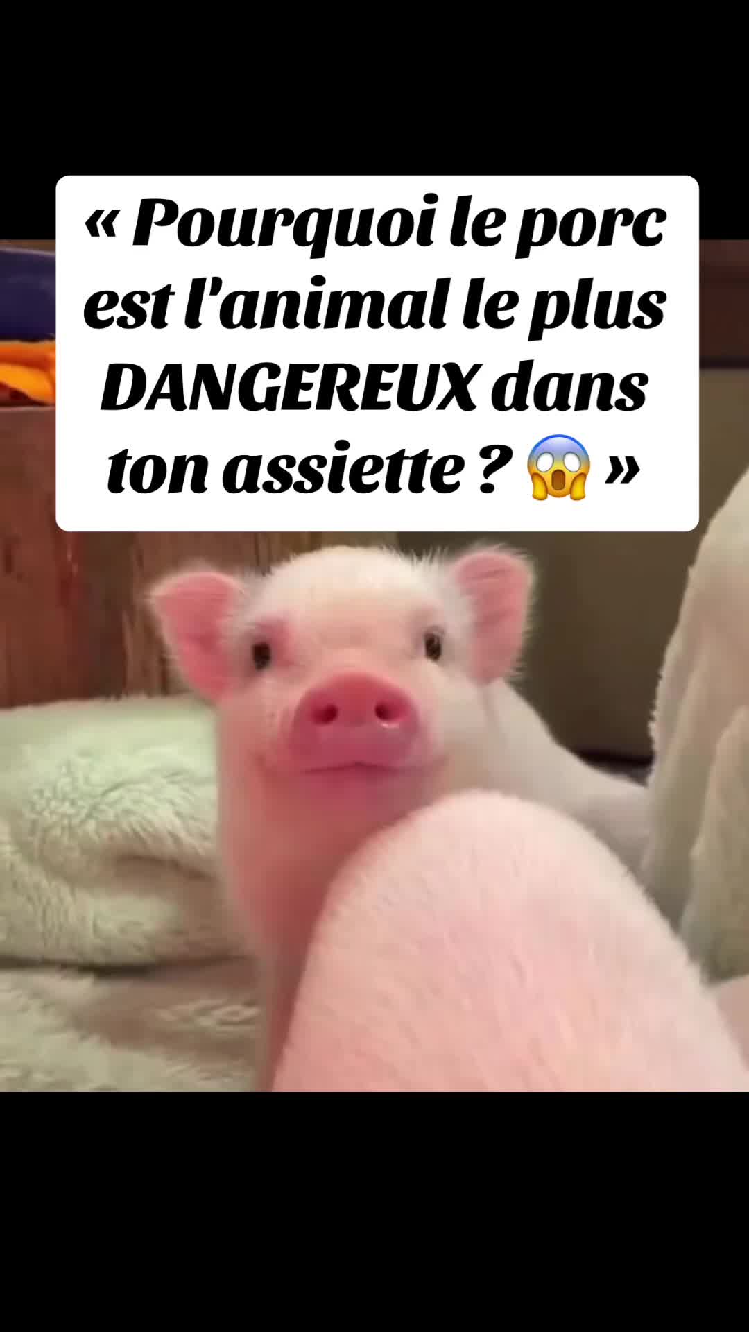 @Le fou du manoir