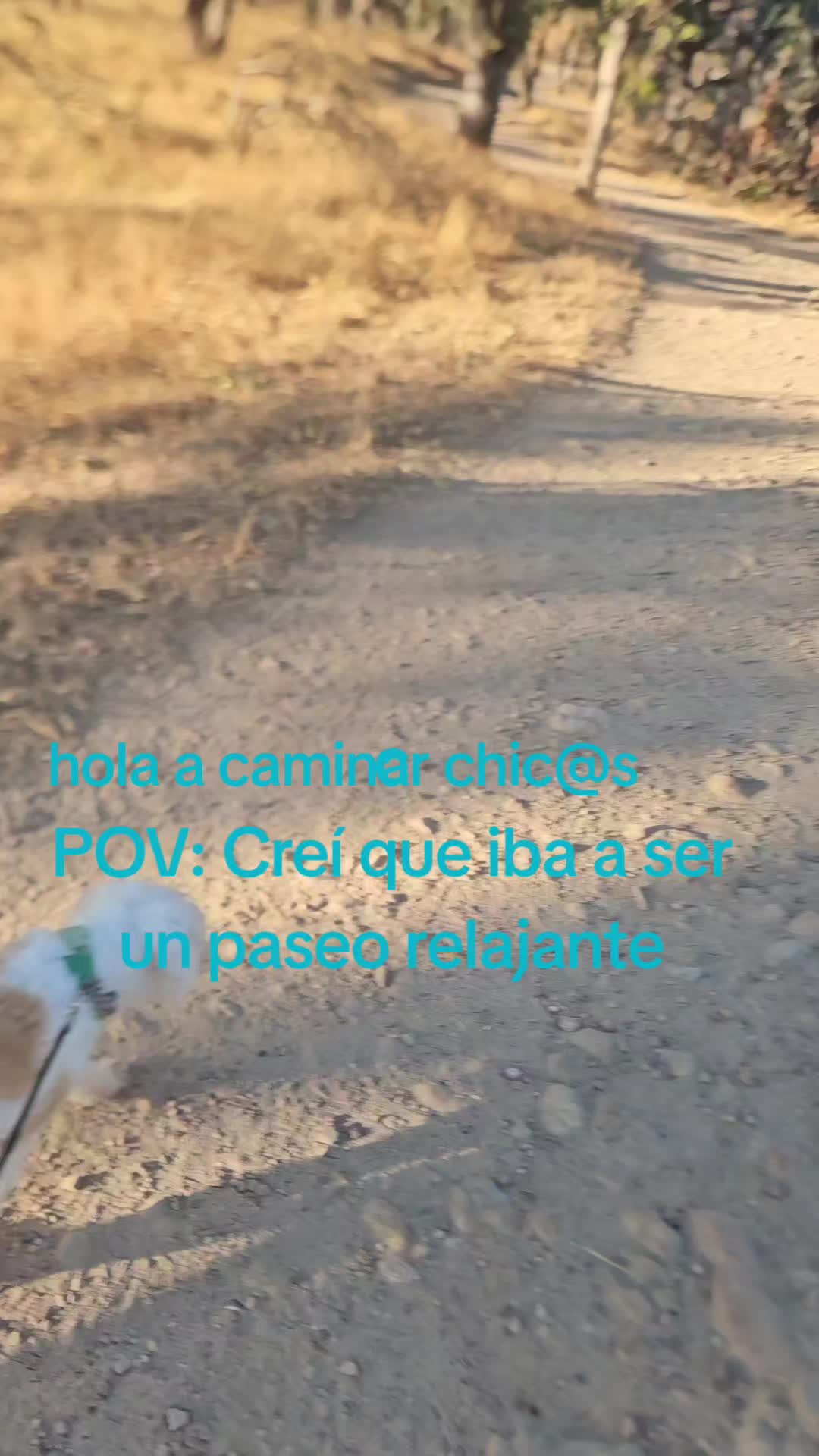 @Catalina Alvarez