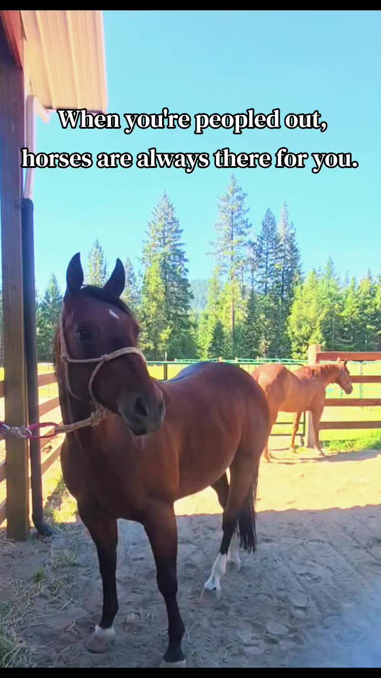 @🐴 ColdMountainRanch 🏇