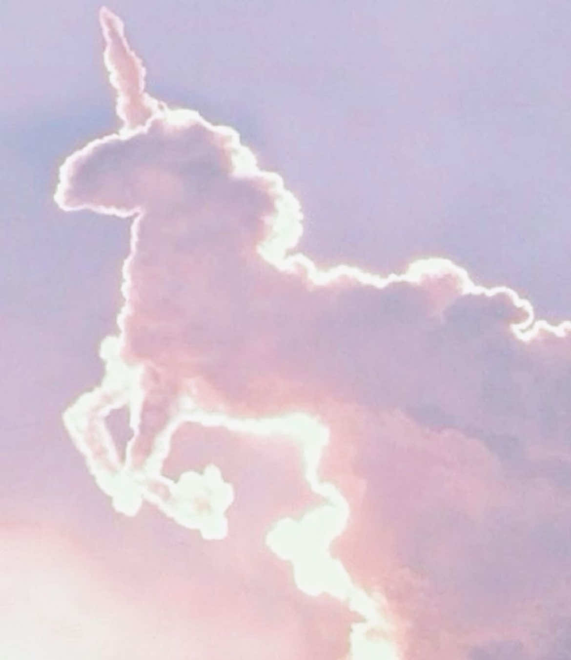 @averyy 🦄🪽🍭