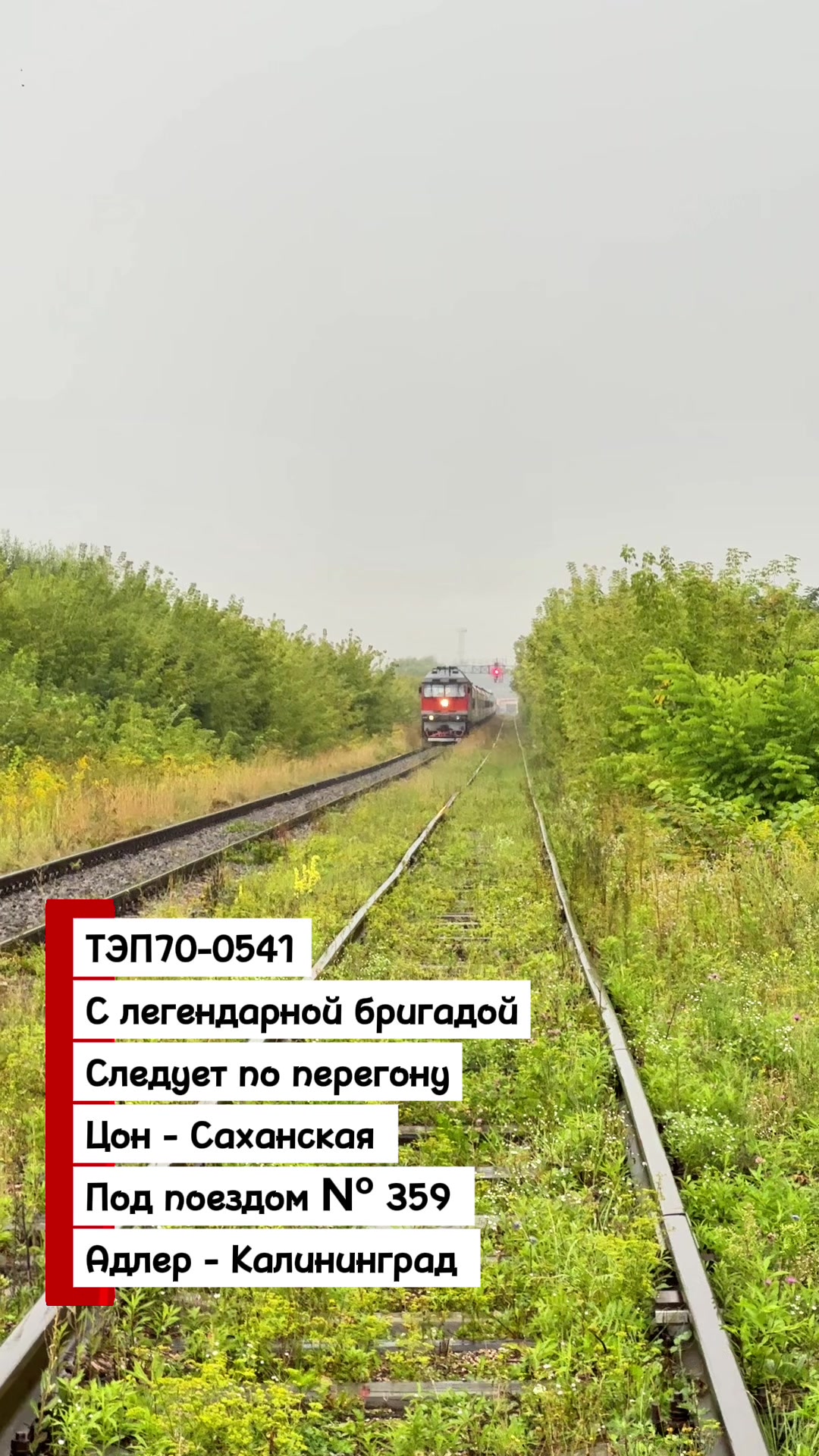 @🇷🇺𝐇𝐚𝐫𝐝𝐑𝐚𝐢𝐥𝐰𝐚𝐲 