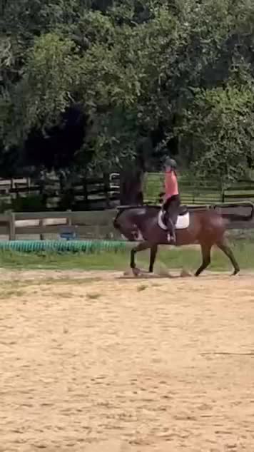 @ThunderGallops
