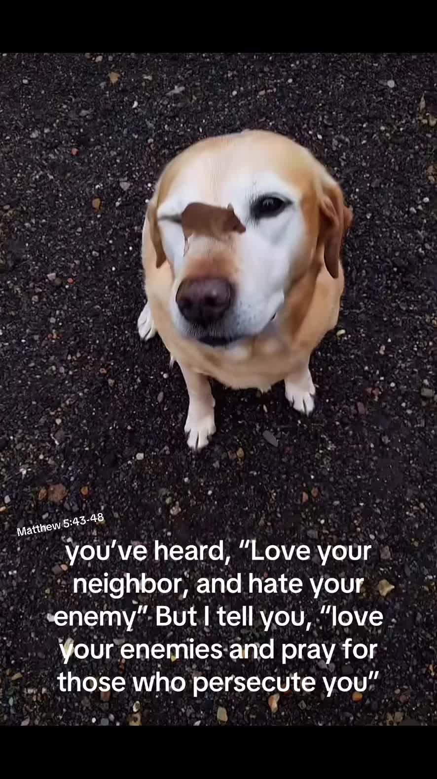 @Itsreal