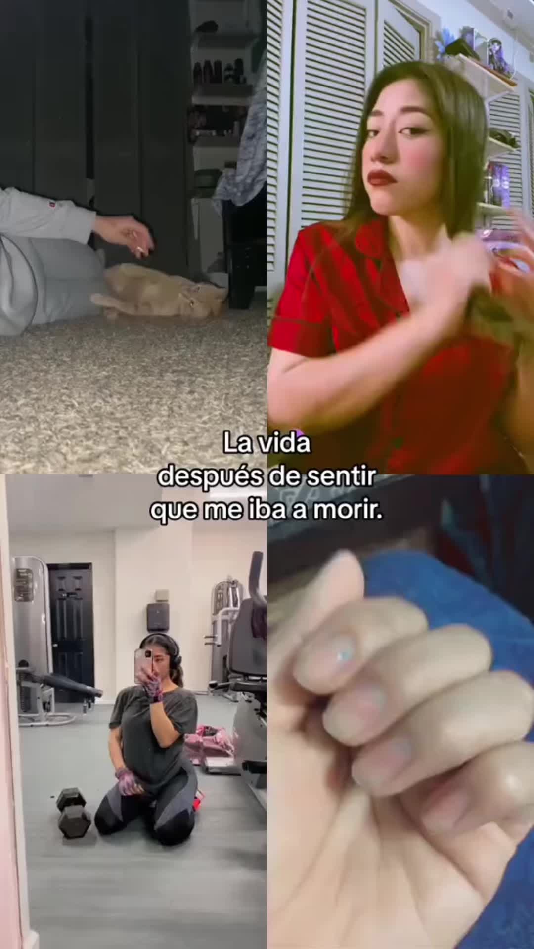 @๐ผ๐ข๐๐ฃ๐๐๐ฉ๐๐๐