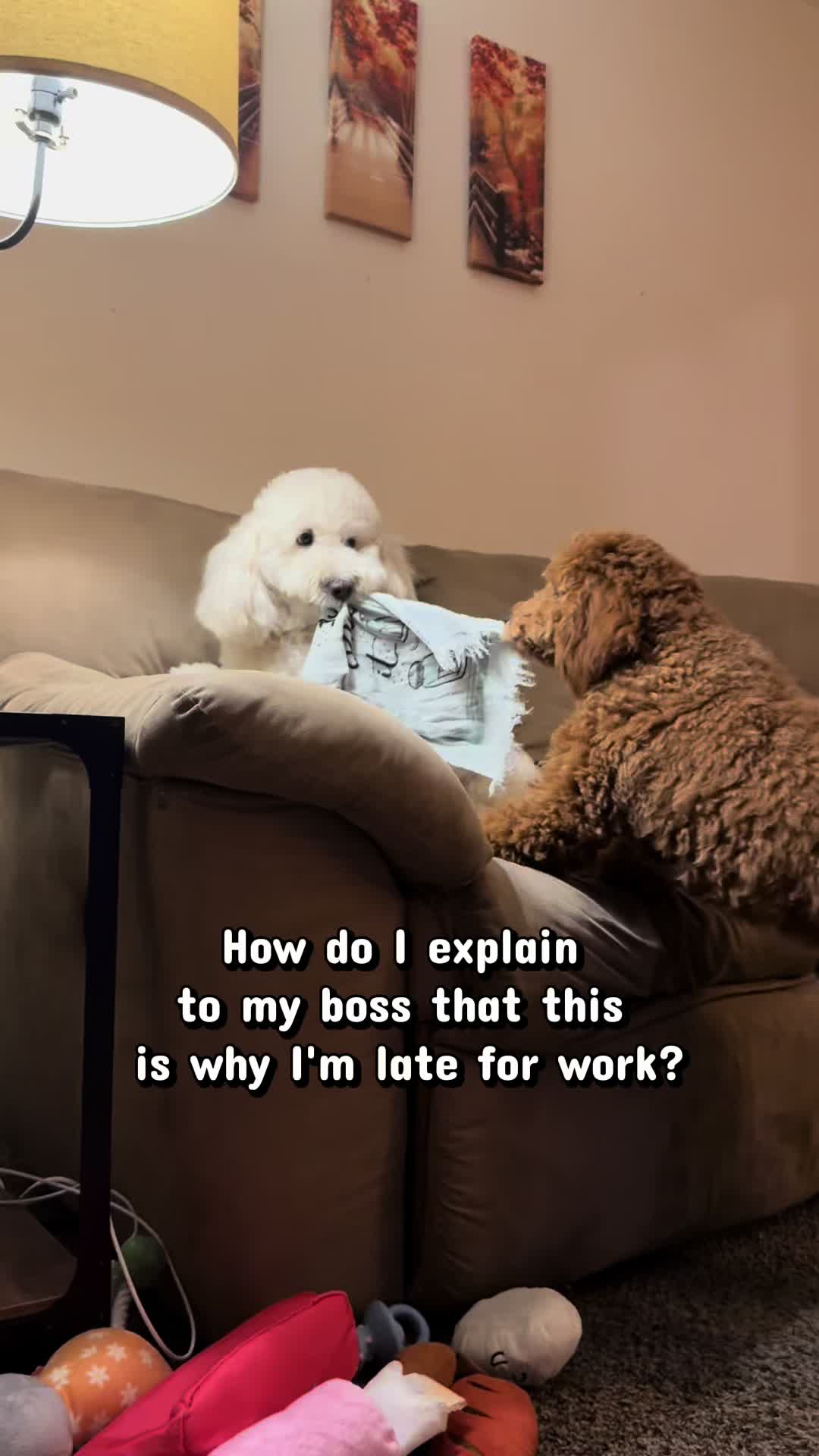 @Enzo the Dood