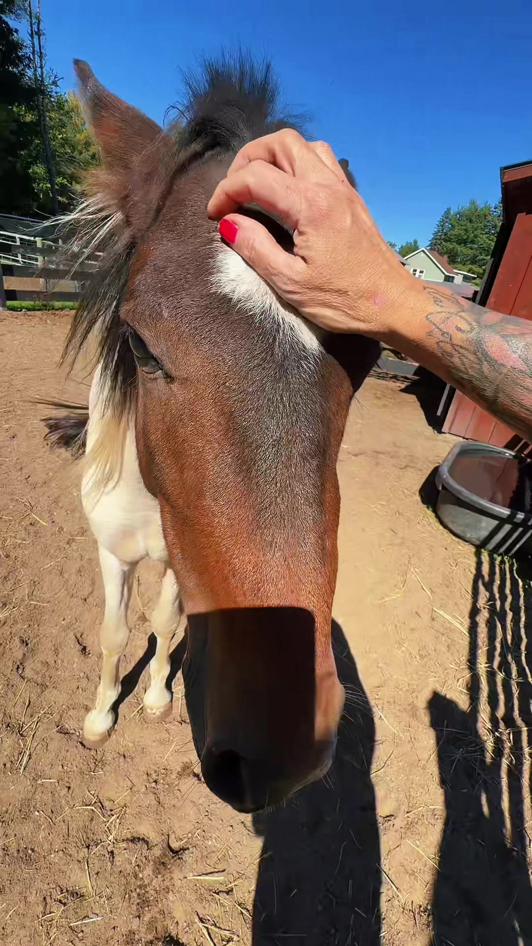 @Unshackled Hearts Ranch