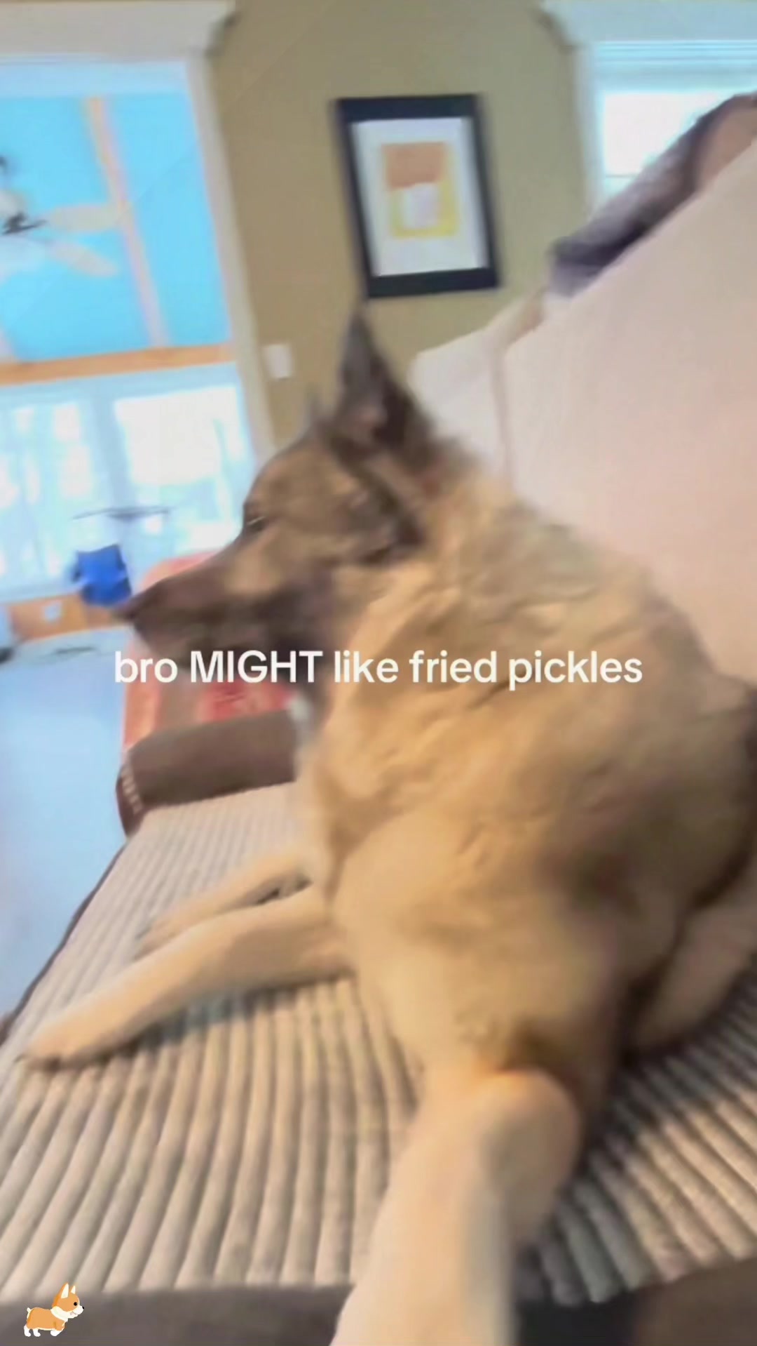@SneakyFails
