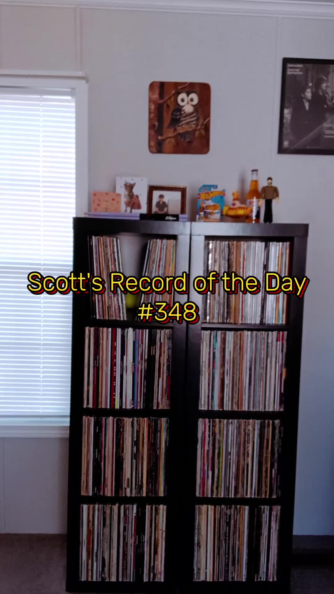 @Scott Reed ❌️