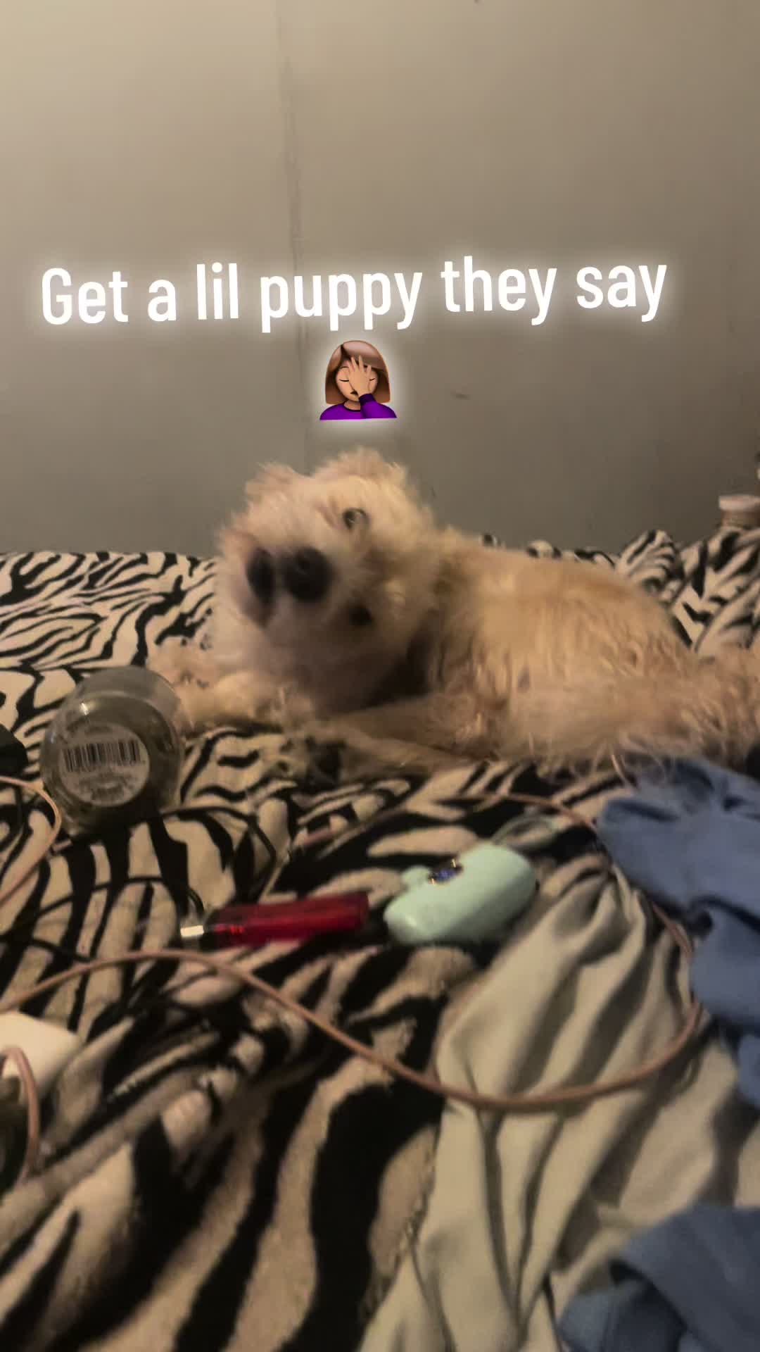@i_am_not_1_of_them