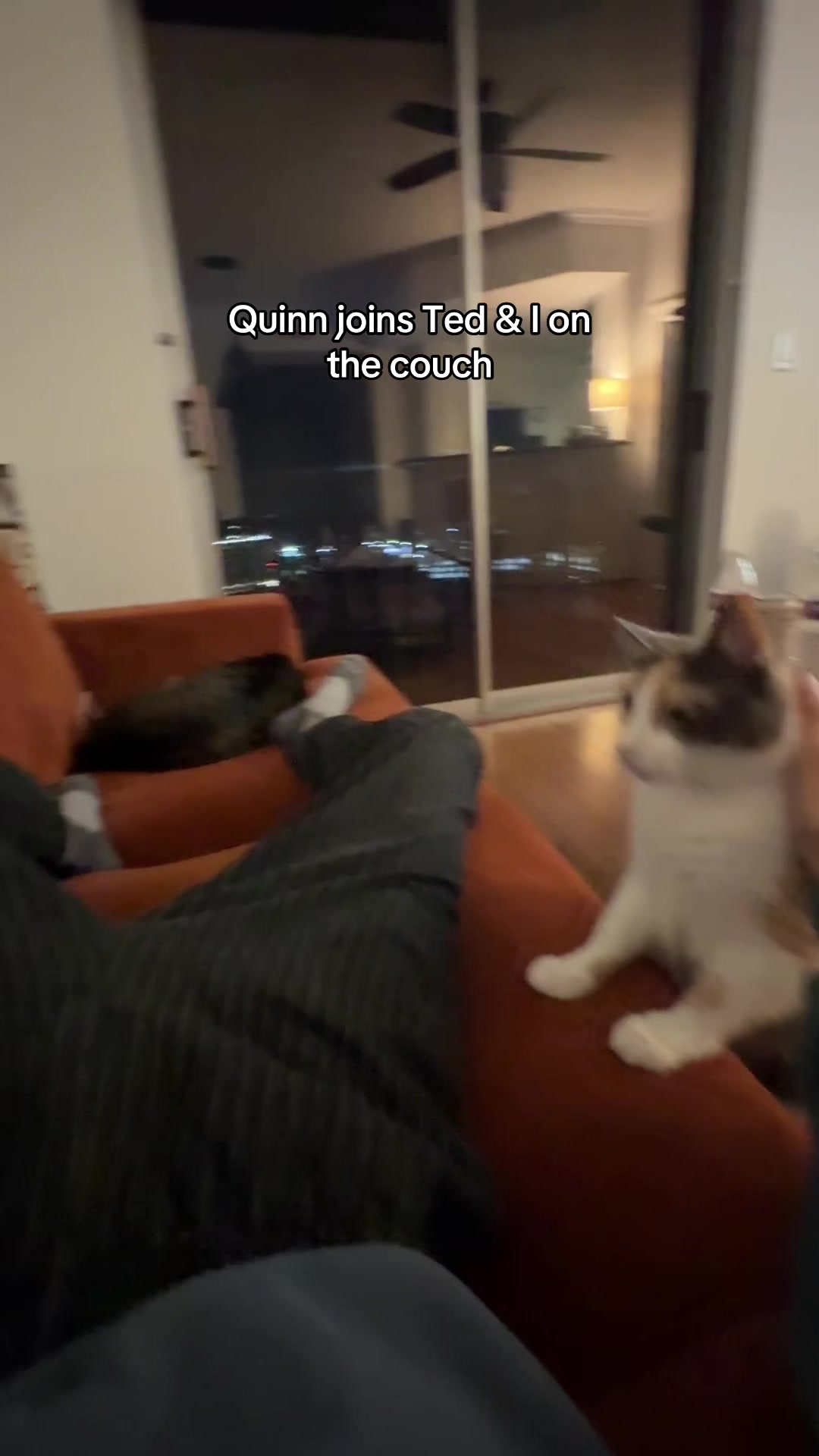 @Quinn The Calico