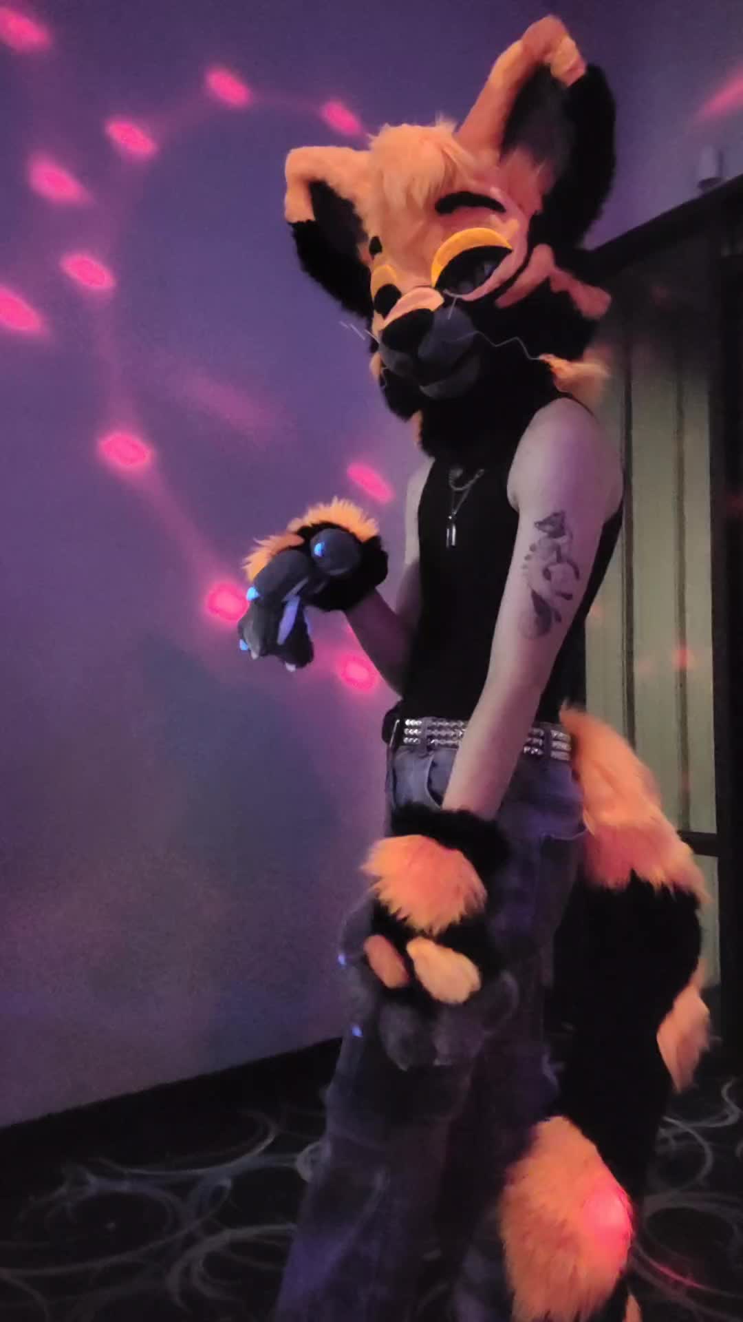 @★FrenziFox★ 🔜 Denfur '26