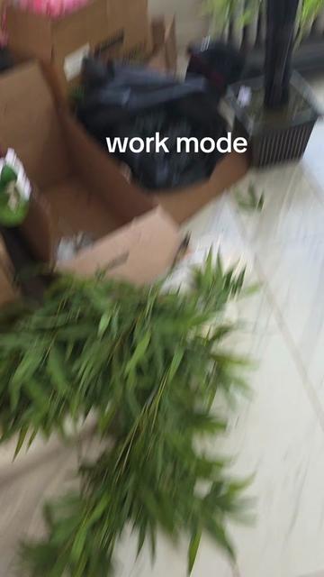 @Olympia Sonaram🇬🇾🇺🇲🇬🇾❌️