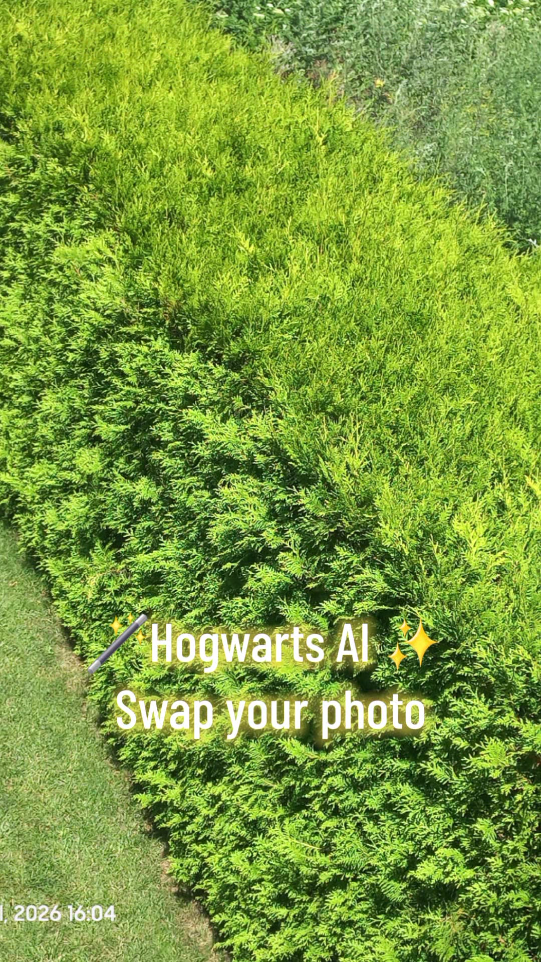 @Umidjon