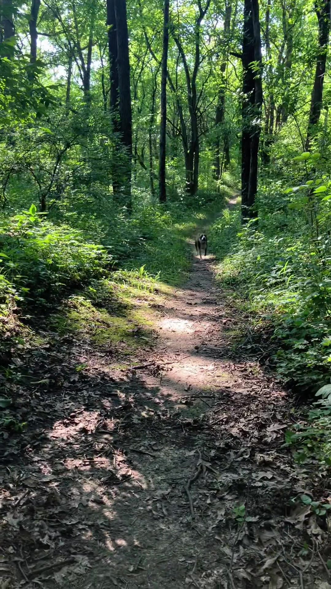 @Hikingwithstanley