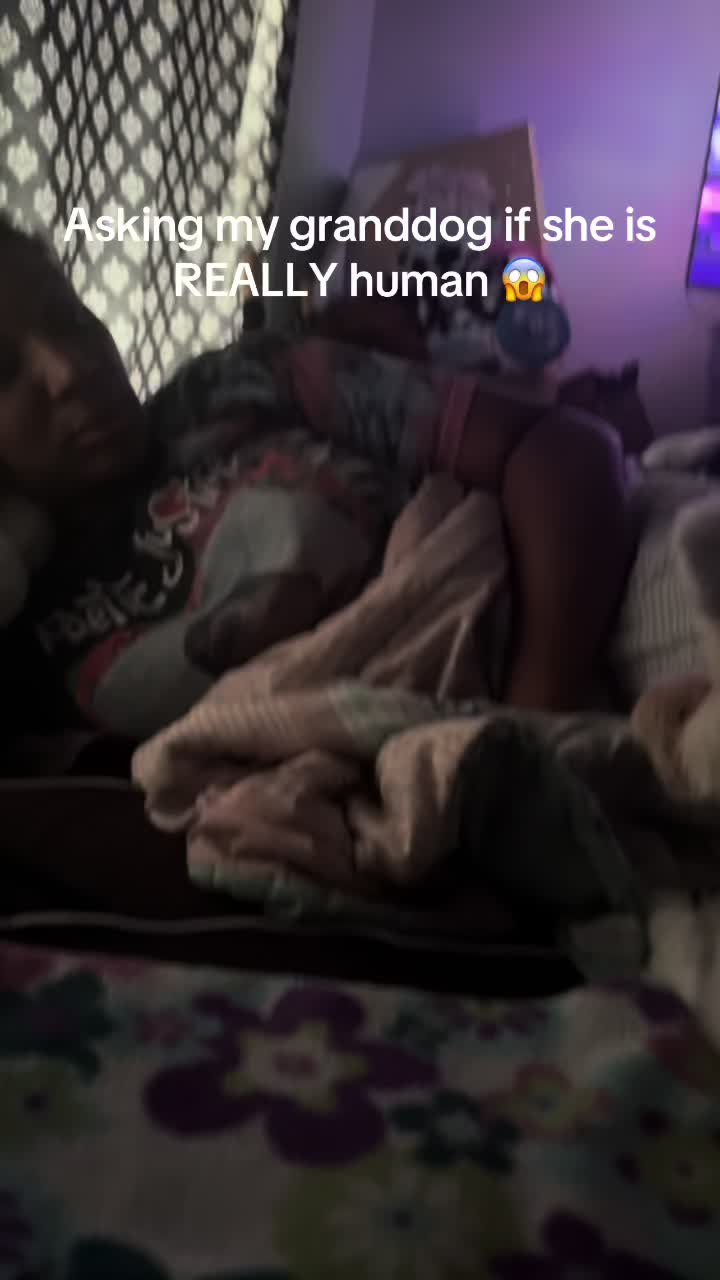 @InsaneRhondaLane