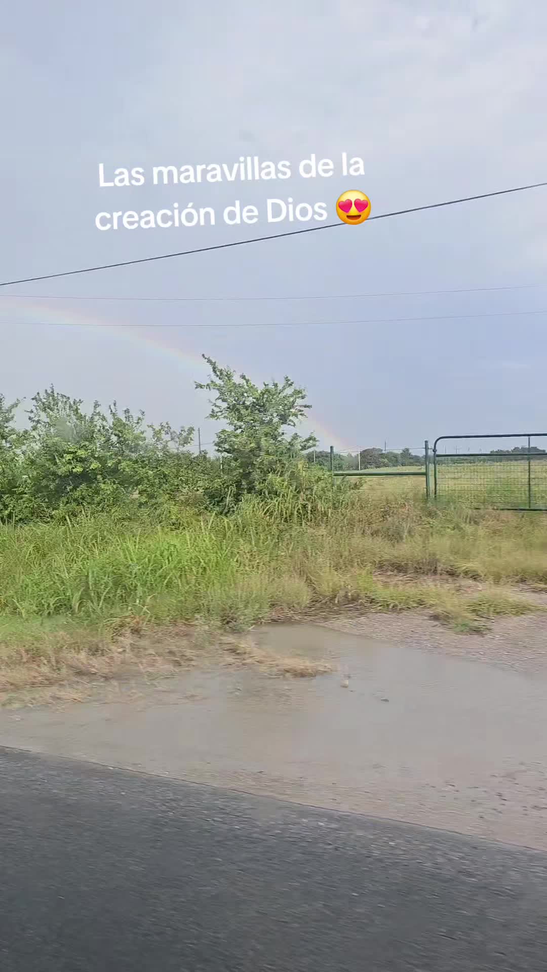 @Lorena Alonzo