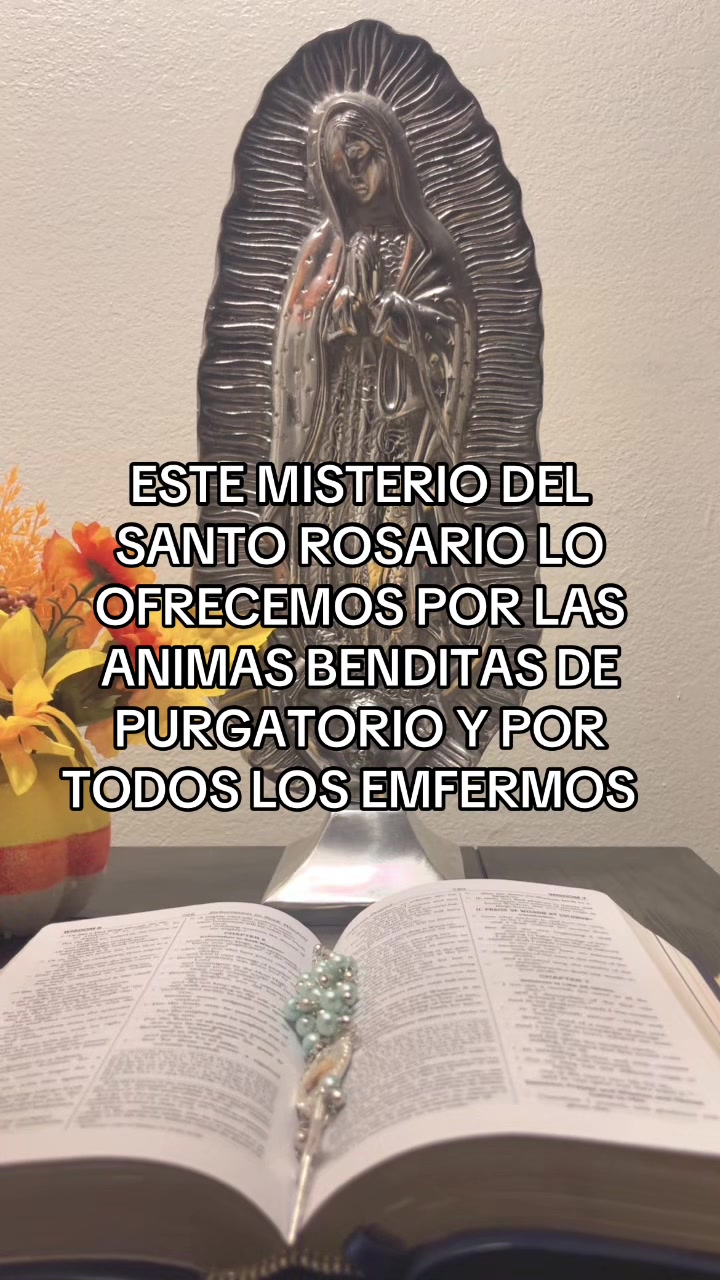 @salmacatolica
