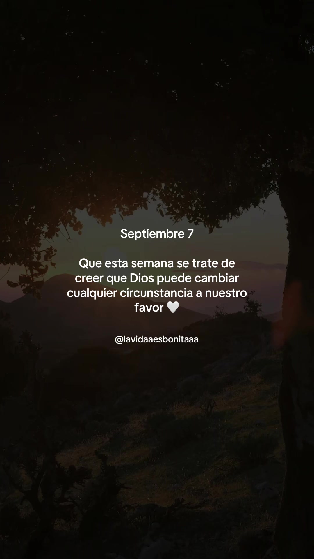 @vidabonita❤️🩹
