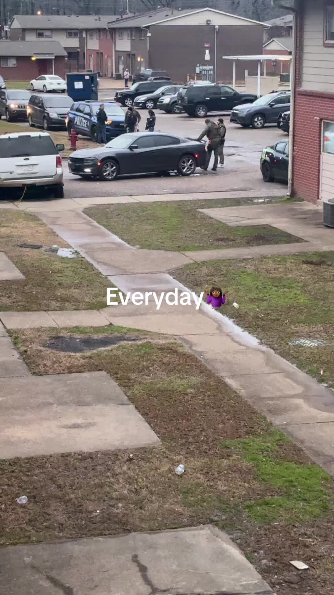 @🤎🤎brownbunni22🤎🤎
