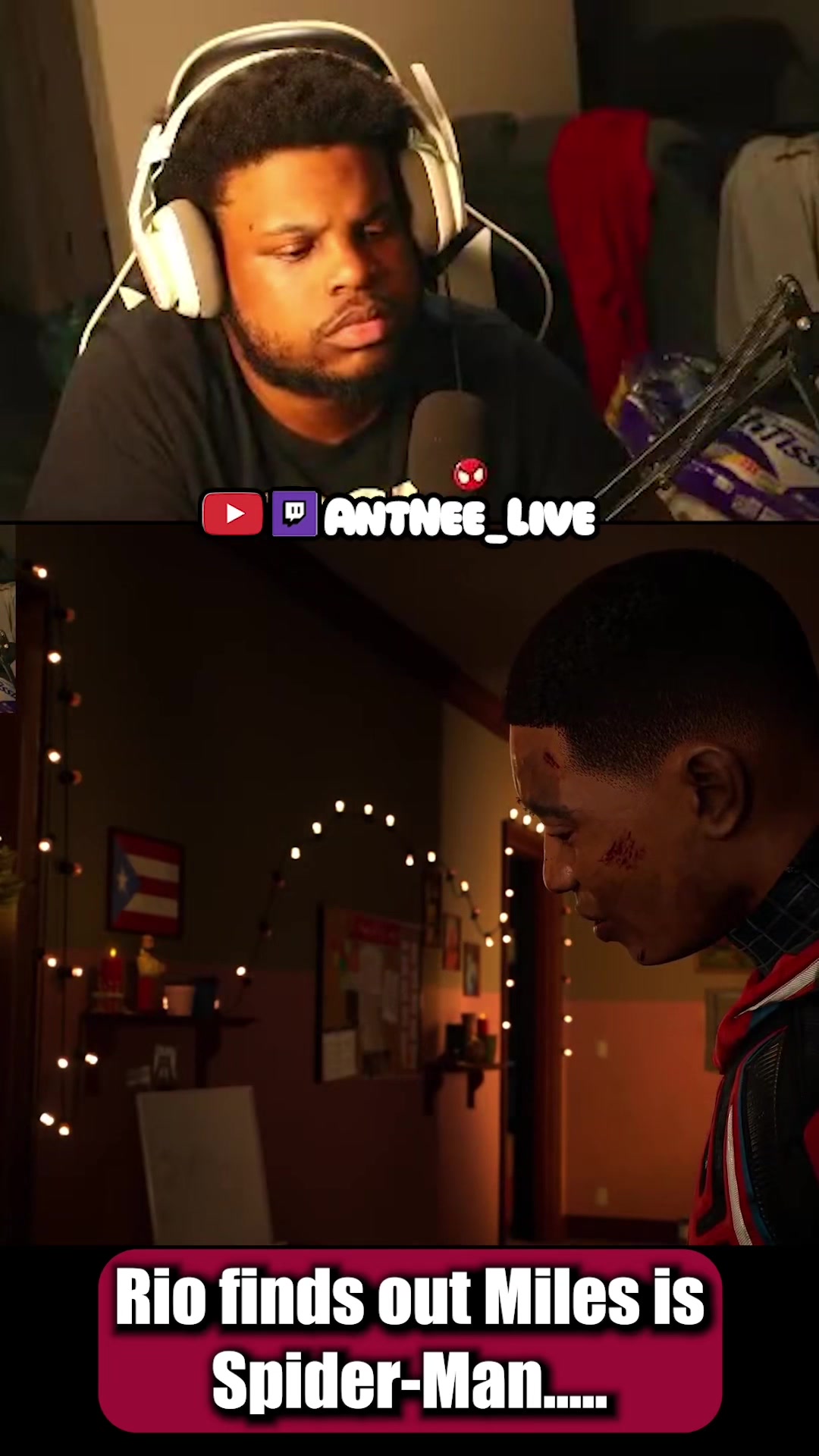 @AntNee Live