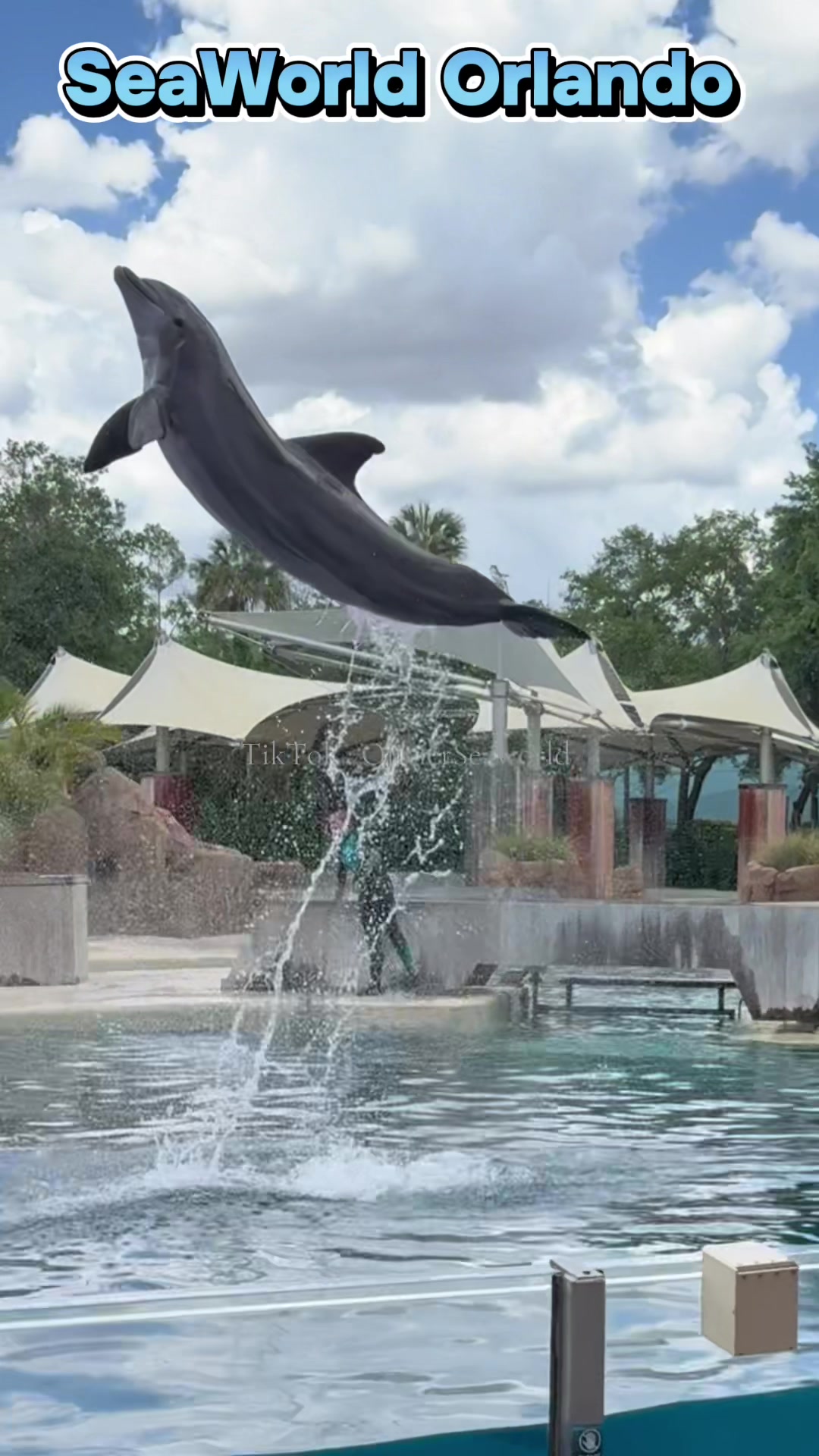 @OlivierSeaworld