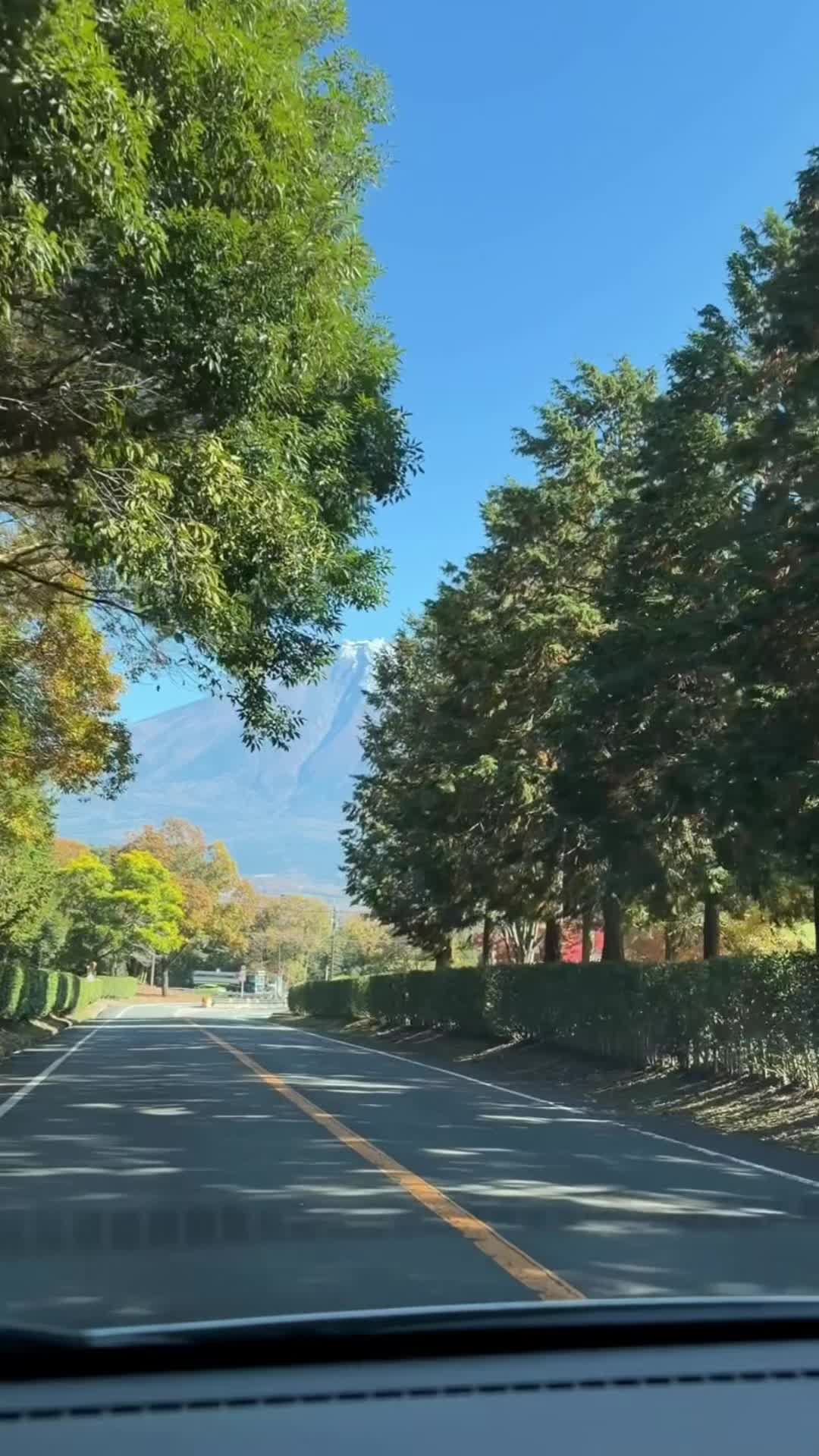 @Milesymeeh