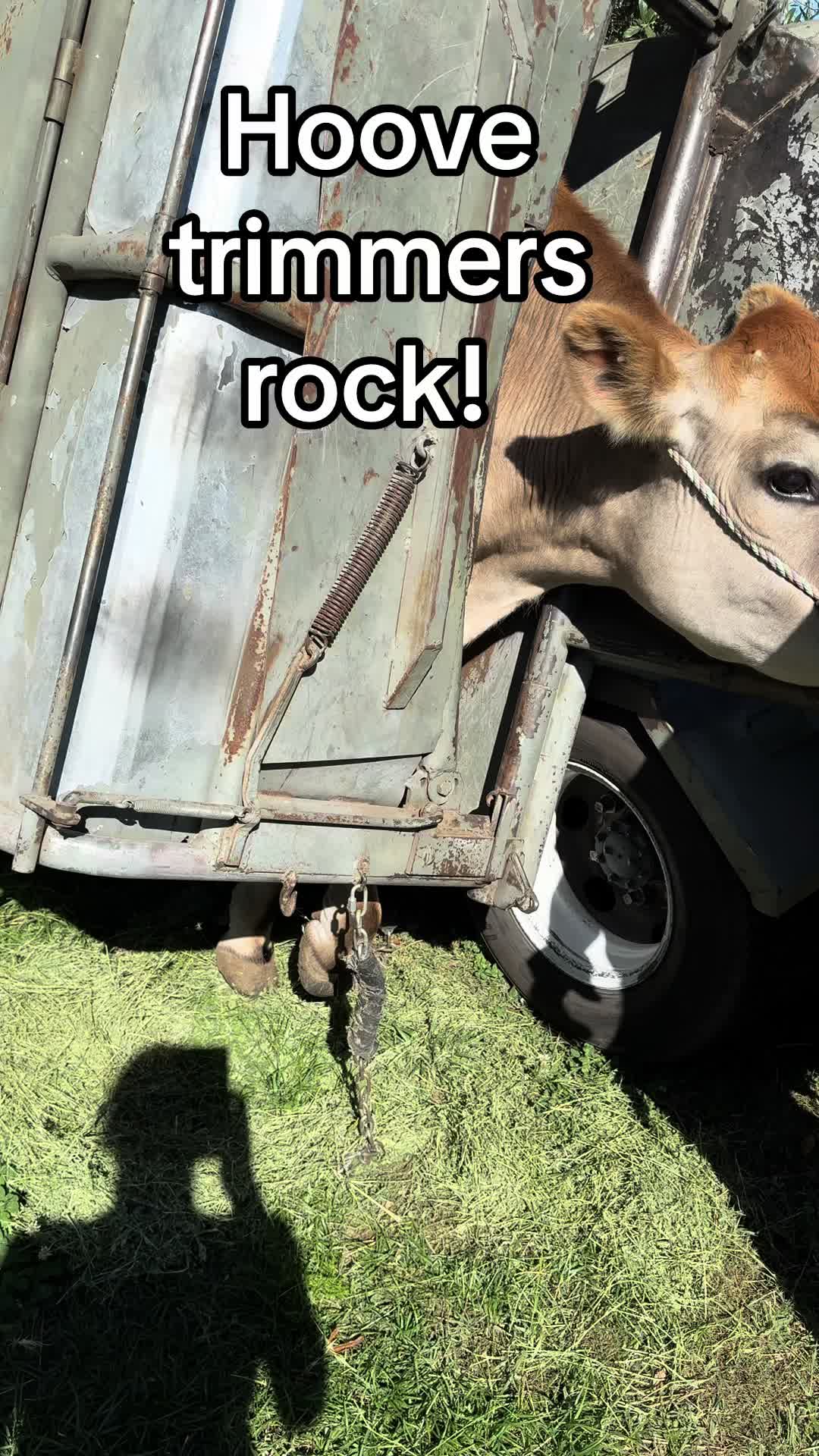 @staseasranch