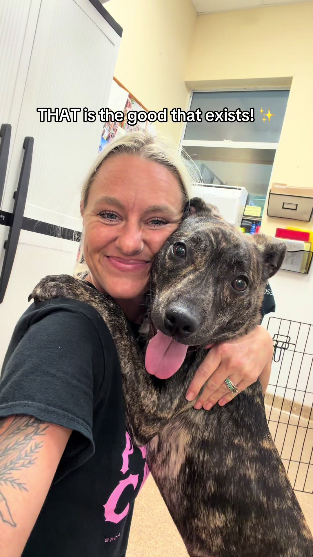 @2vettechs