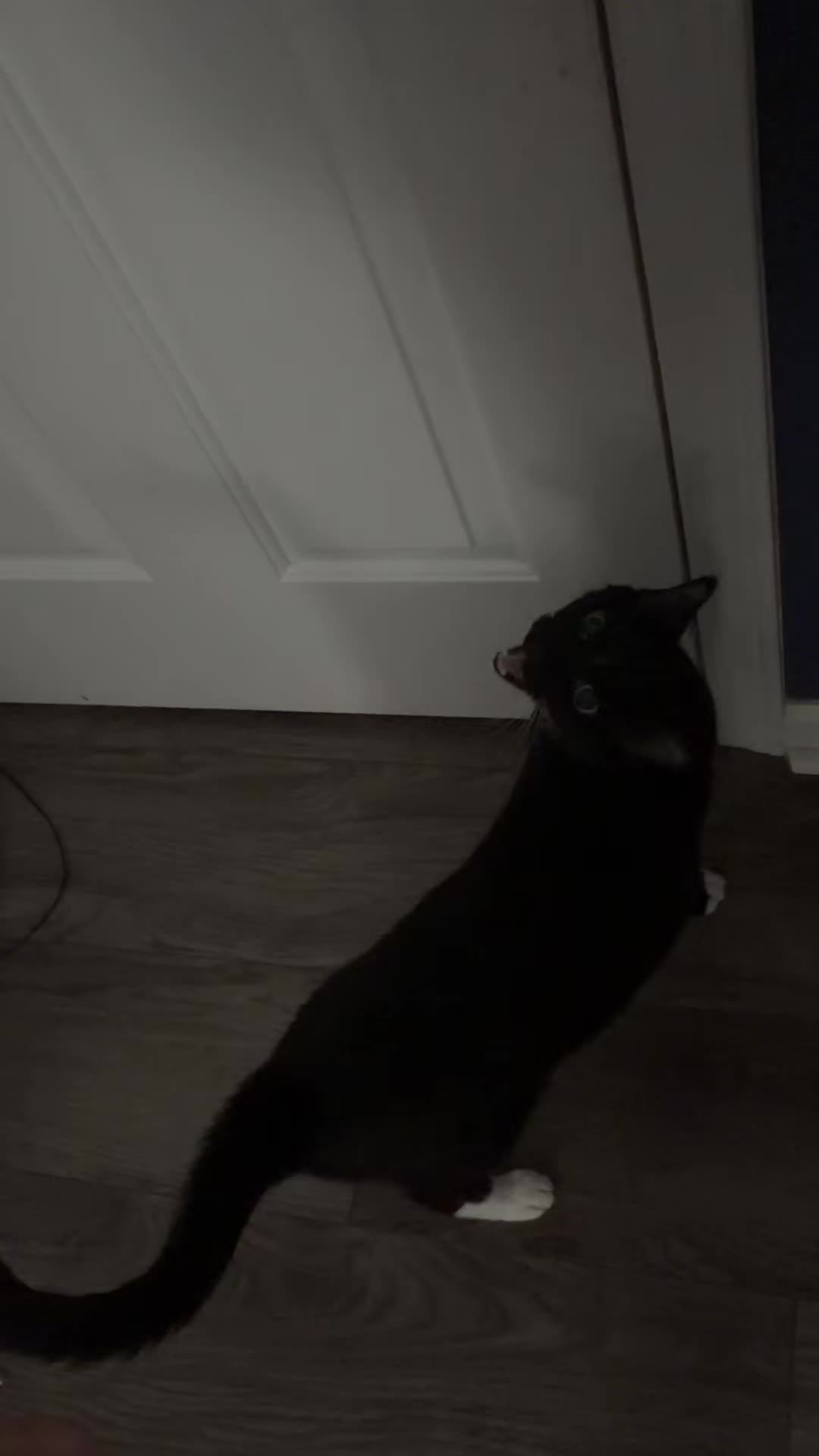 @Marie