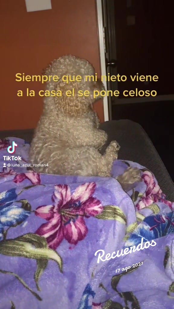 @Carmen Roman 🌙