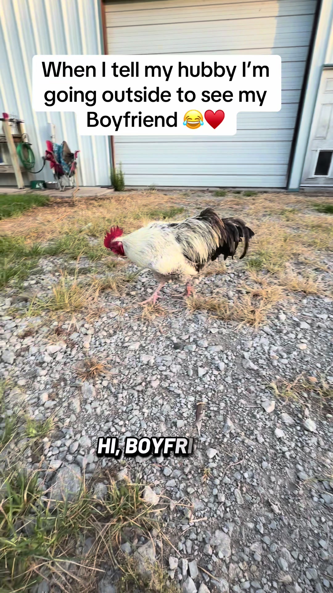 @NonniesFunnyFarm