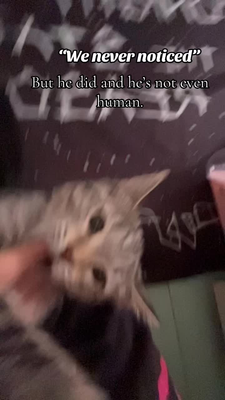 @Kil3y💕