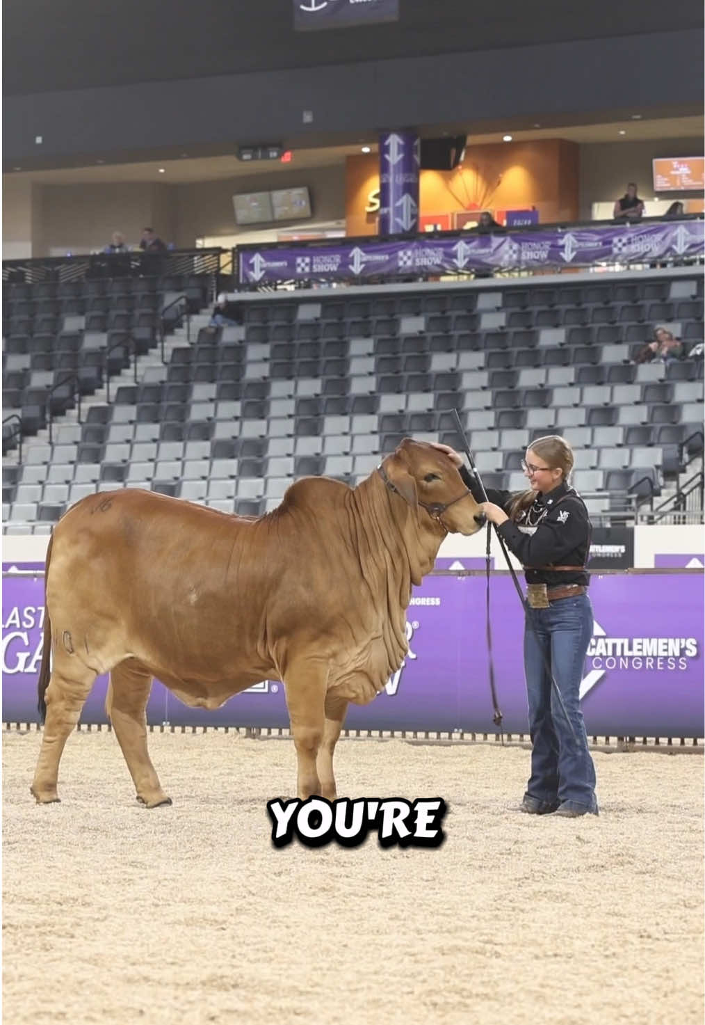 @The V6 Ranch