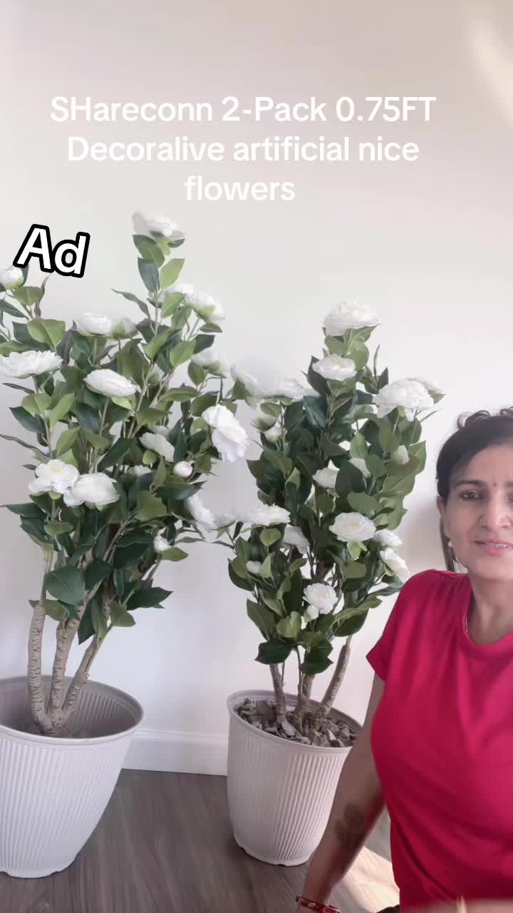 @Sita Kharel Luitel