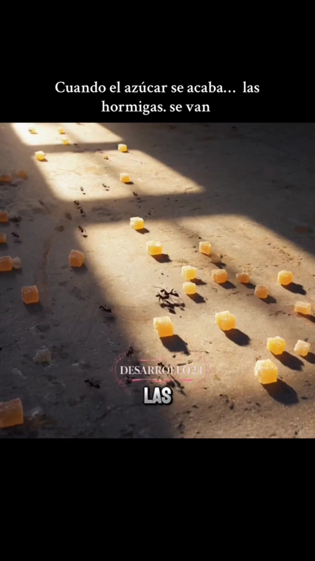 @🦋💜ALY🍀알리시아💋🧩🇺🇸💎🇸🇻🥷