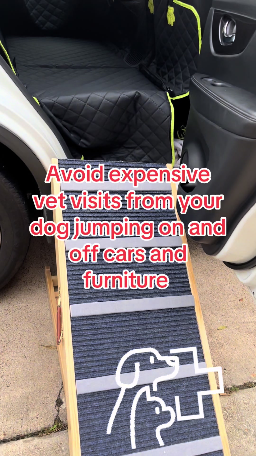 @Walter The German Shepherd