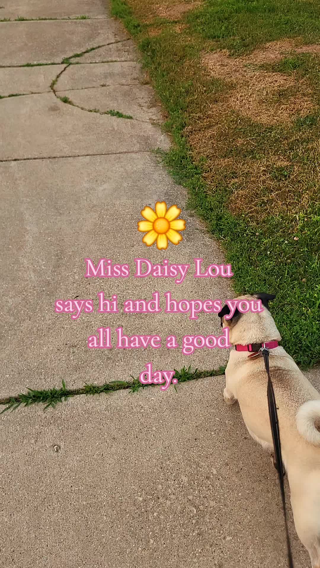 @💚kellymarie💚117💚