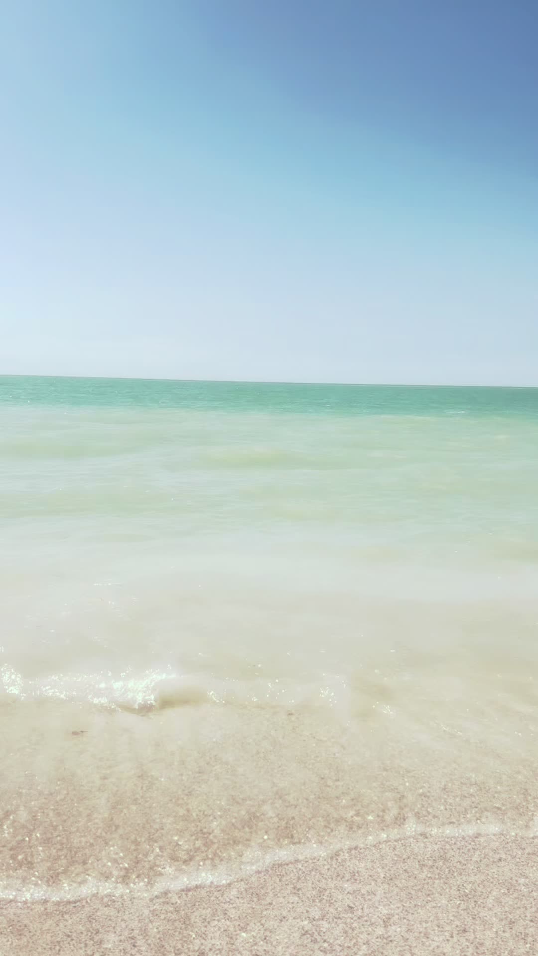 @SarcasmSunrise