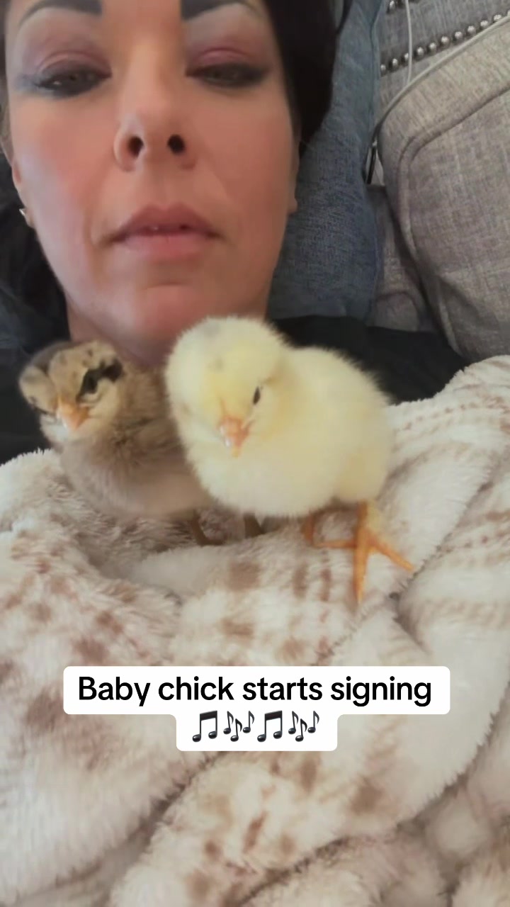 @NonniesFunnyFarm