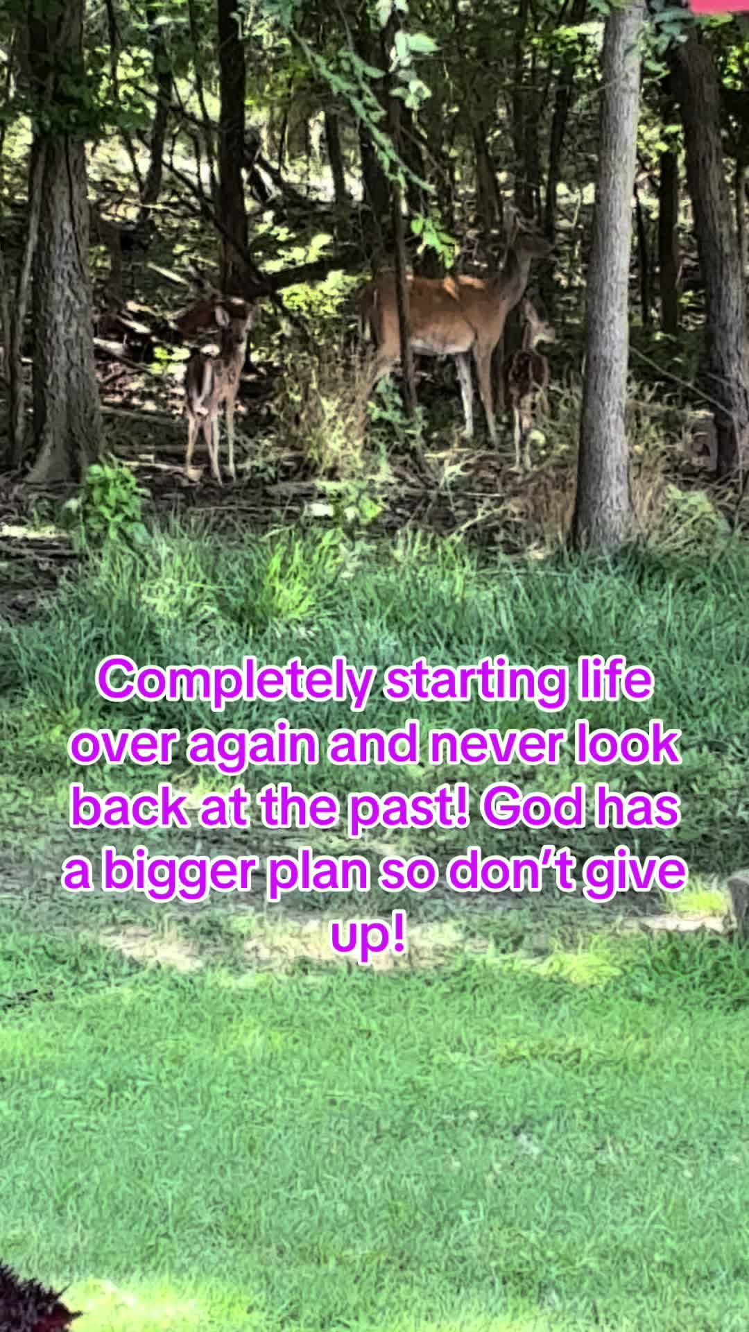 @GrowWithAmanda