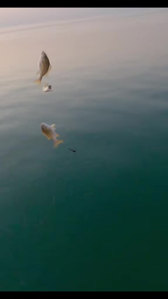 @Raul-Raul