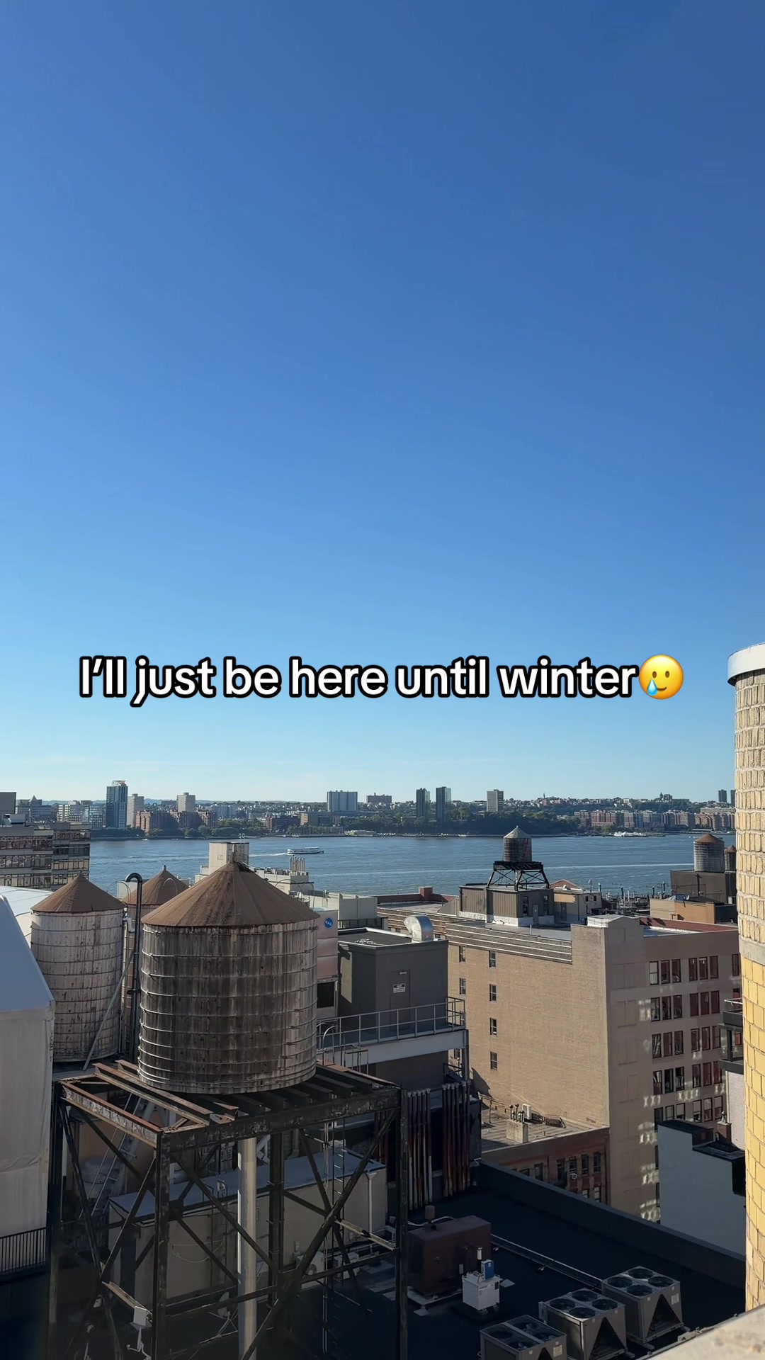 @rotembasson
