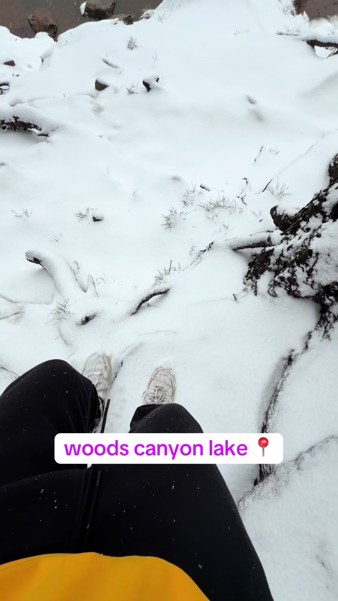 @David explore Arizona 🌲🎣
